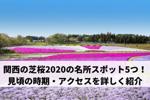 関西の芝桜の名所スポット5つ 見頃の時期やアクセスを詳しく紹介 マリエのドラマ映画エンタメ通信