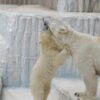 天王寺動物園